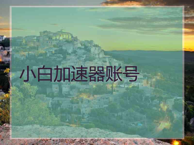 小白加速器账号