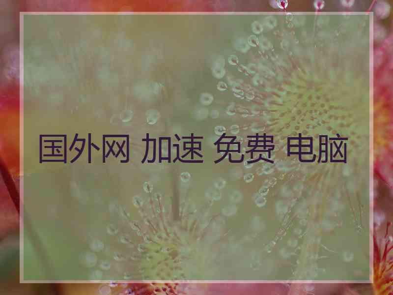 国外网 加速 免费 电脑