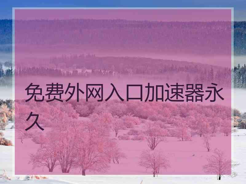 免费外网入口加速器永久